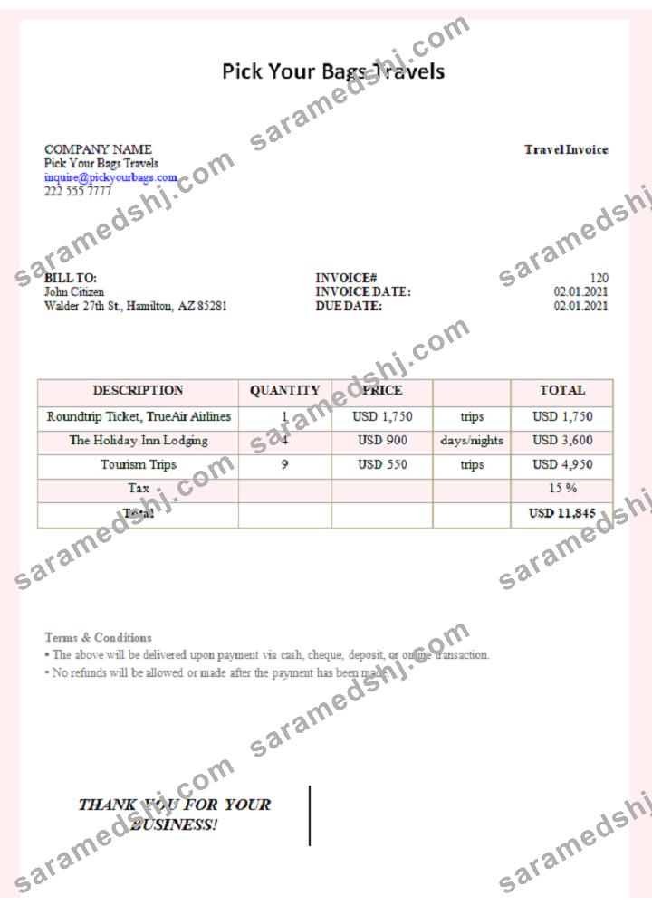 USA Pick Your Bags Travels invoice